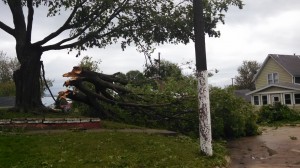 Tree down across a yard and street in Adair