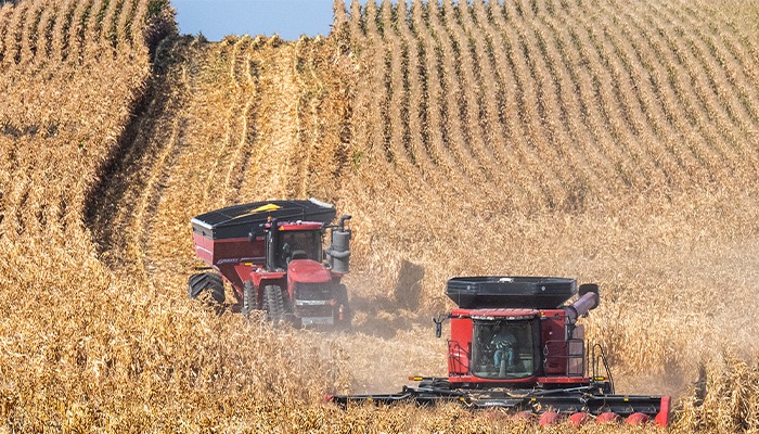 Harvest